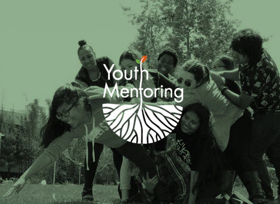 youth mentoring program